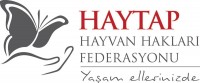 HAYTAP